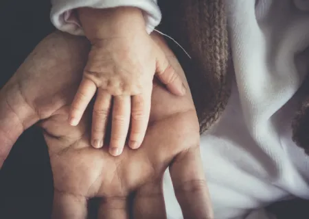 immagine con una mano di adulto che accoglie quella di un bambino per evocare il tema Affidamento