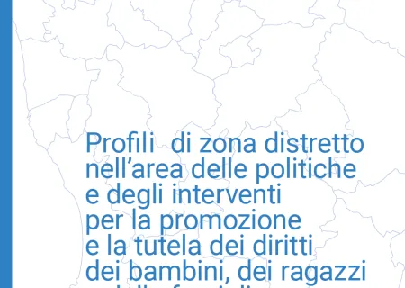 particolare delle pubblicazioni Profili di zona distretto
